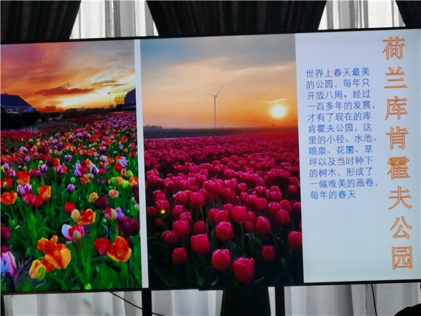 四川(chuān)中(zhōng)青旅绵(mián)阳分社独家定制圆梦(mèng)欧洲系列 - 大全(quán)景(jǐng) 9 国 16 天 德(dé)国-法国-瑞士-意大利-奥地利-荷(hé)兰-比利时-列支敦士登-卢森堡